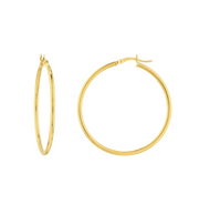 Yellow Gold Polished Hoop