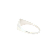 Precious Metal Ring