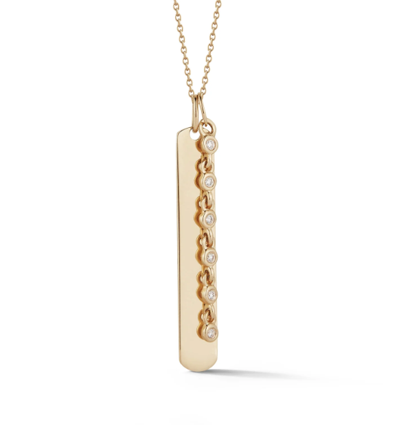 Two Charm Necklace