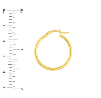 Yellow Gold Polished Hoops