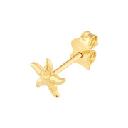 Starfish Studs