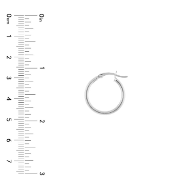 White Gold Polished Hoops