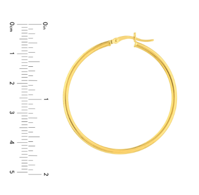 Yellow Gold Polished Hoops