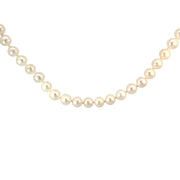 Single Strand Pearl Necklace