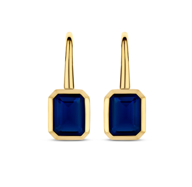 Yellow Gold Drop Earrings