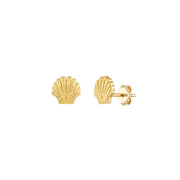 Mini Shell Earrings