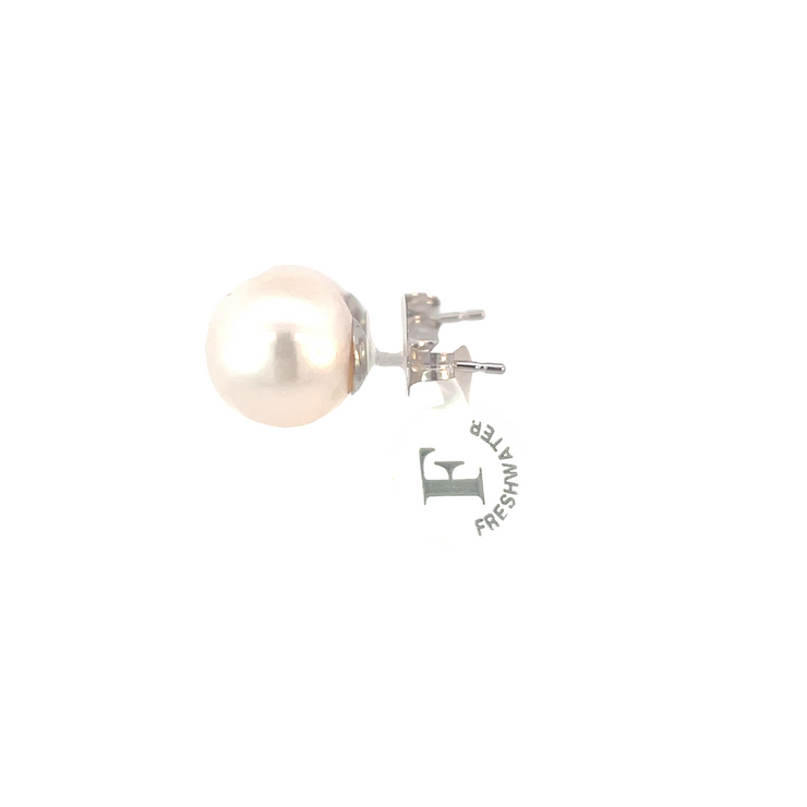 Pearl Earring