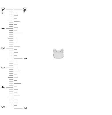 White Gold Cat Head Studs