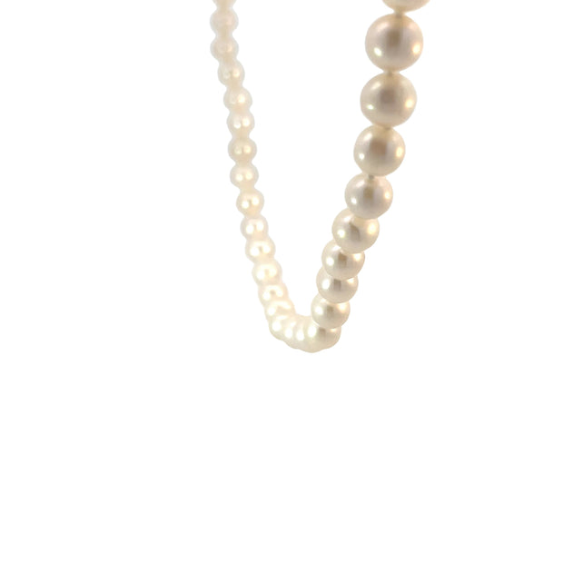 Single Strand Pearl Necklace