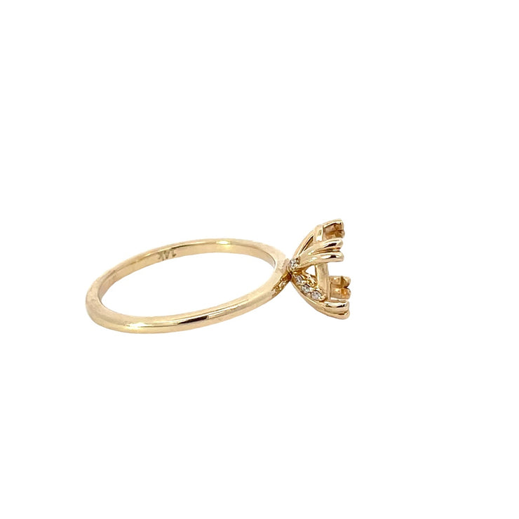 Semi-Mount Ring