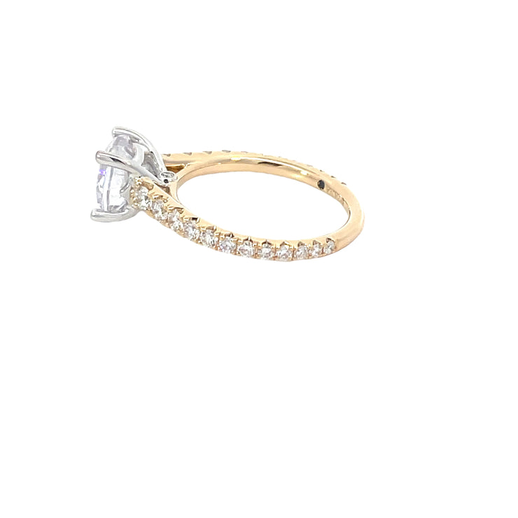 Semi-Mount Ring