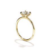 Hidden Halo Engagement Ring
